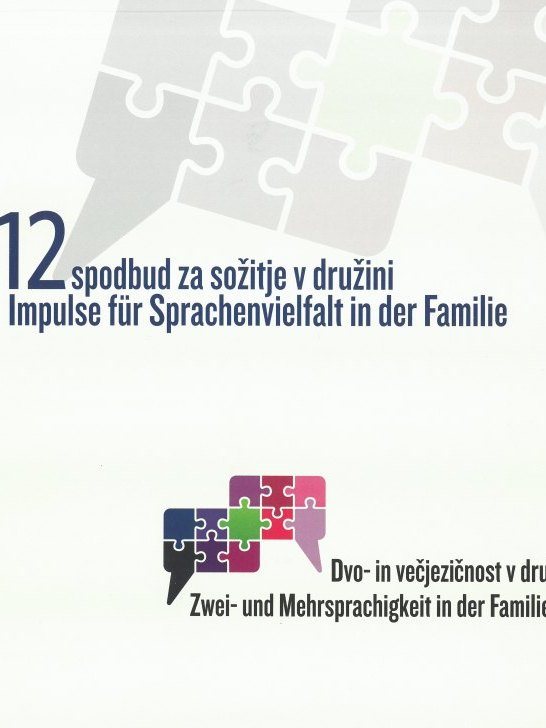 Cover: Zwei- und Mehrsprachigkeit in der Familie}