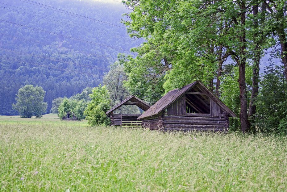 Image: Mooswiese bei Nampolach/Napole mit Heuschuppen