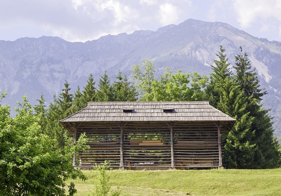 Image: Große Heuharpfe